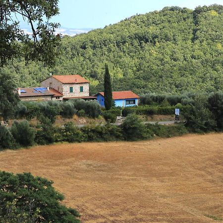 Villa Casa Maria à Magliano in Toscana Extérieur photo