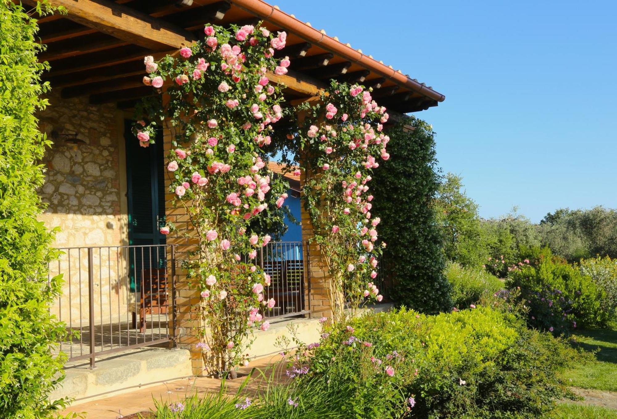 Villa Casa Maria à Magliano in Toscana Extérieur photo