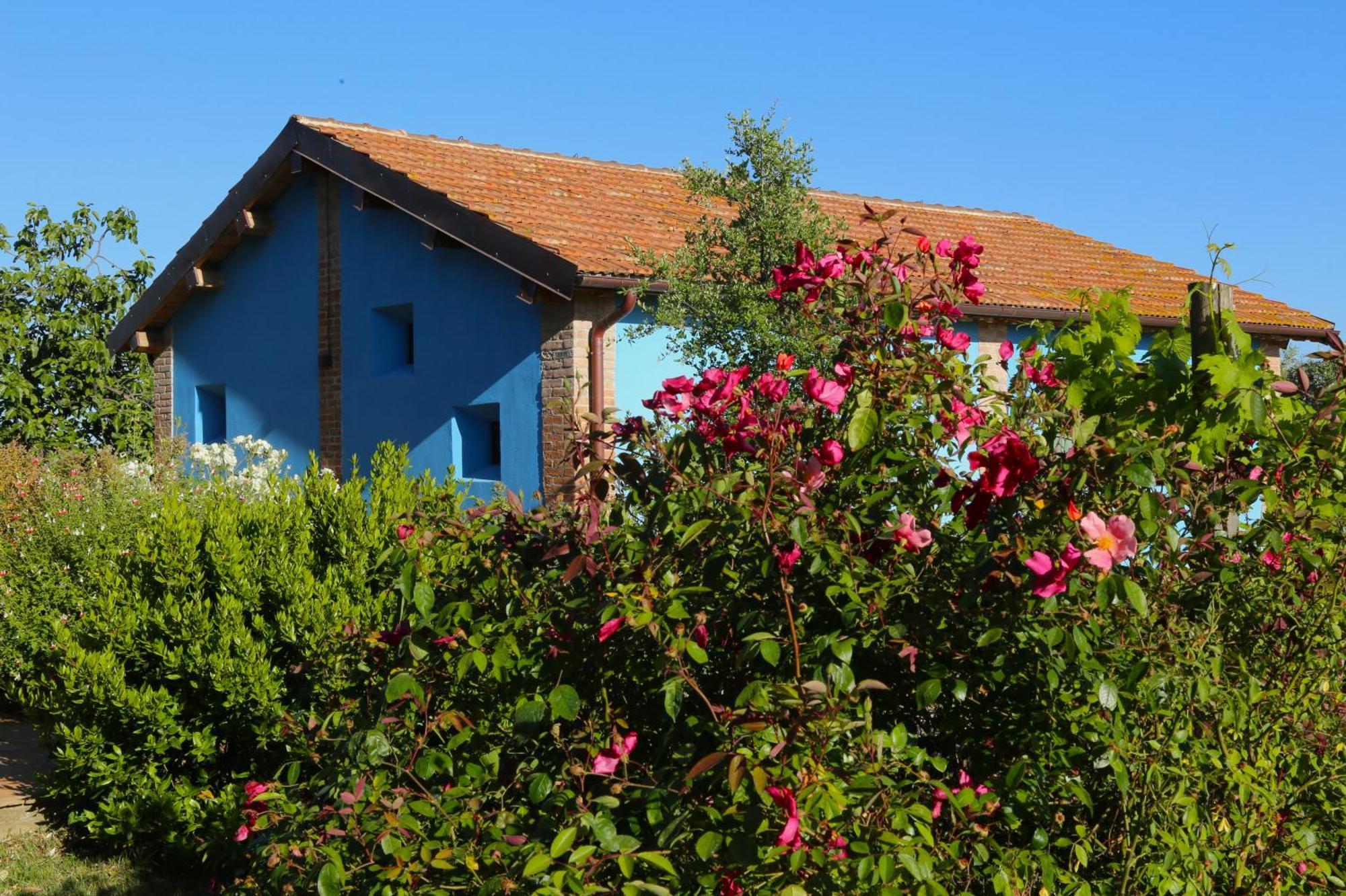 Villa Casa Maria à Magliano in Toscana Extérieur photo