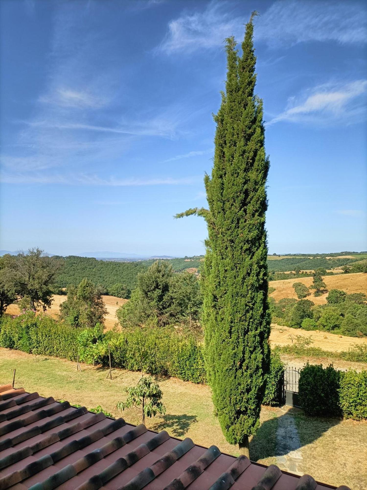 Villa Casa Maria à Magliano in Toscana Extérieur photo