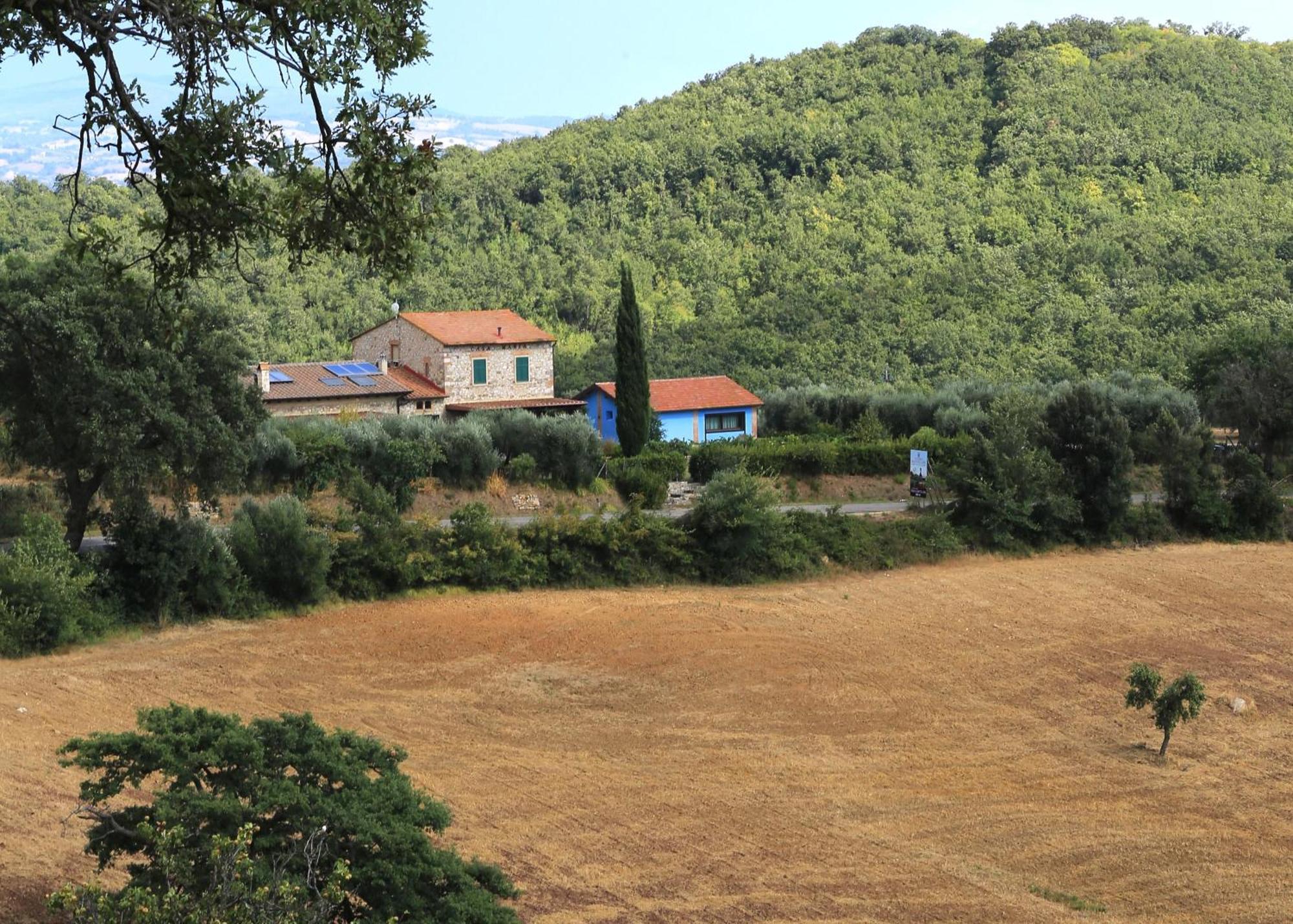 Villa Casa Maria à Magliano in Toscana Extérieur photo