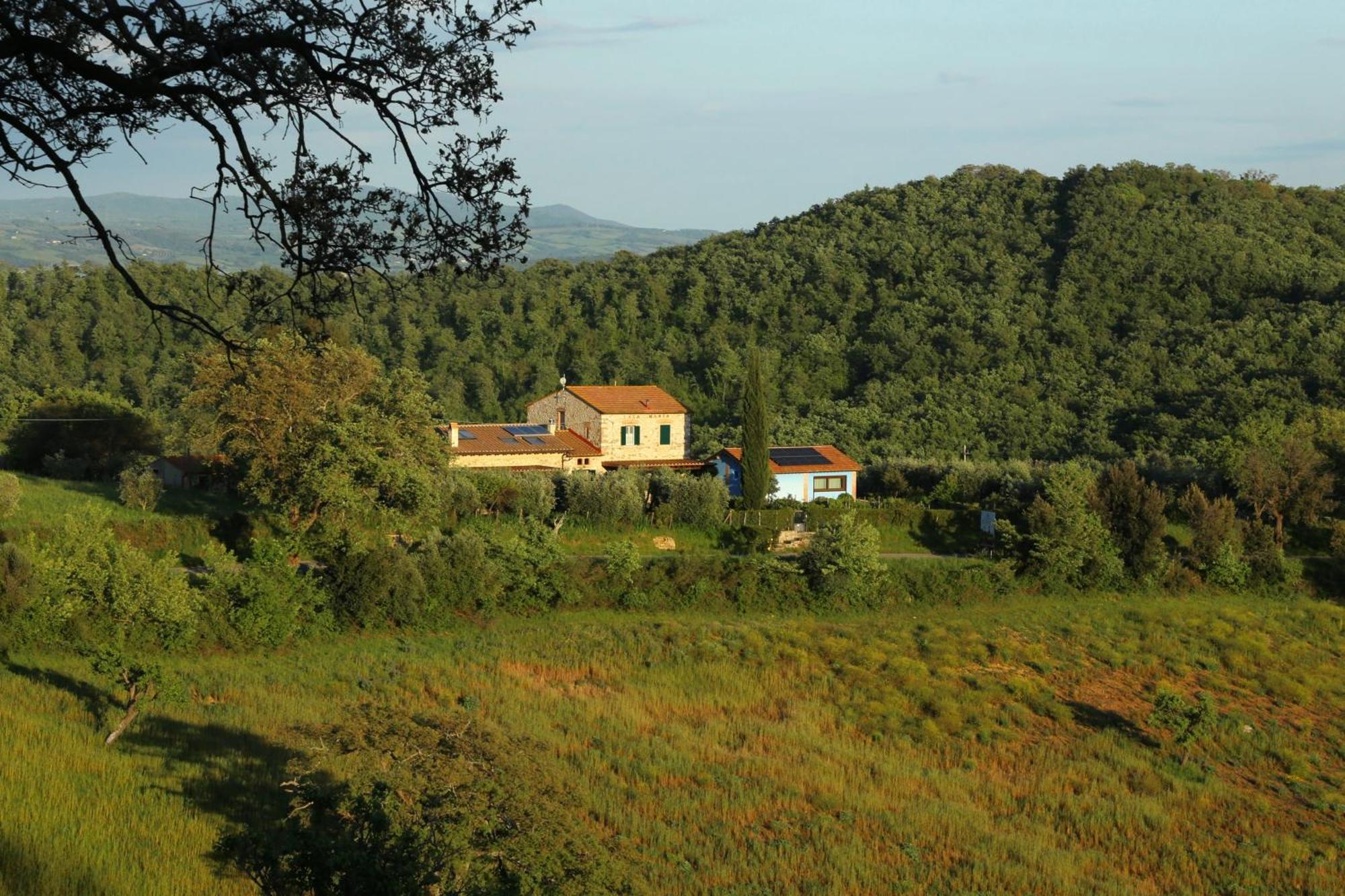 Villa Casa Maria à Magliano in Toscana Extérieur photo